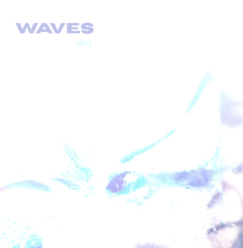 Pochette WAVES vol.1